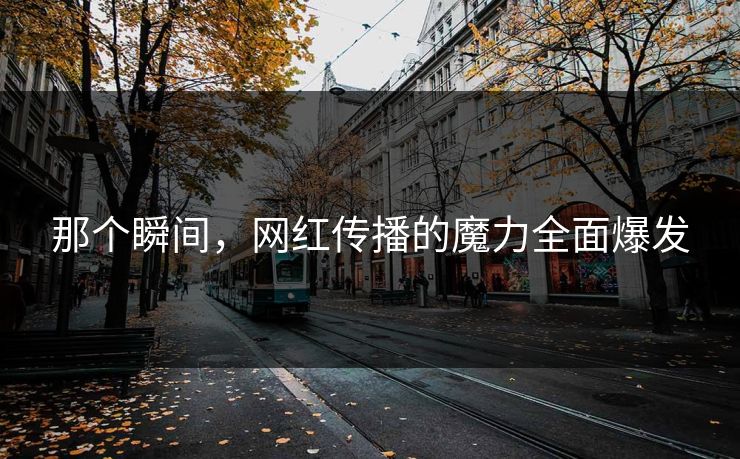那个瞬间，网红传播的魔力全面爆发